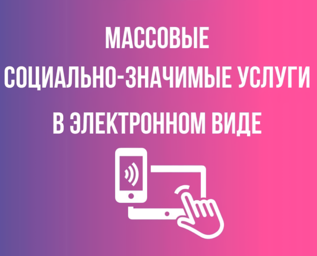 Возможность получения массовых социально значимых государственных имуниципальных услуг в электронном виде.